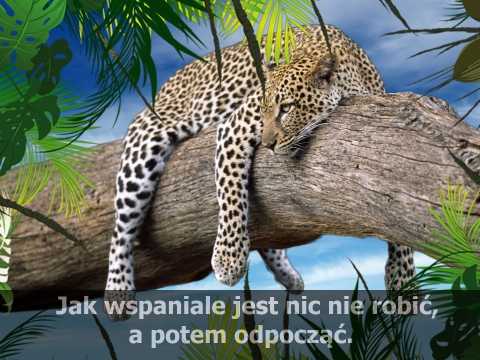 Pełen relax Jak wspaniale jest nic nie robić, a potem odpocząć.